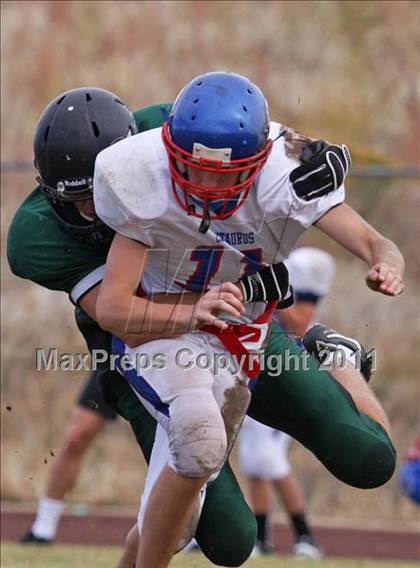 Thumbnail 2 in Centaurus vs D'Evelyn JV photogallery.
