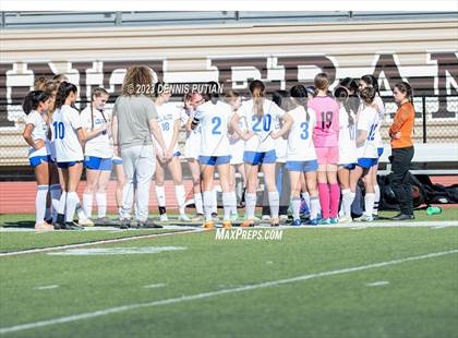Thumbnail 3 in Los Altos @ Saint Francis (CIF CCS Open Quarterfinals) photogallery.