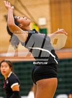 Photo from the gallery "Laguna Creek @ Kennedy"