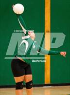 Photo from the gallery "Laguna Creek @ Kennedy"