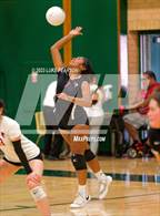 Photo from the gallery "Laguna Creek @ Kennedy"