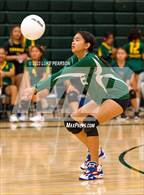 Photo from the gallery "Laguna Creek @ Kennedy"