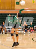 Photo from the gallery "Laguna Creek @ Kennedy"