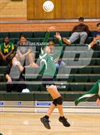 Photo from the gallery "Laguna Creek @ Kennedy"