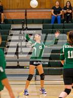 Photo from the gallery "Laguna Creek @ Kennedy"