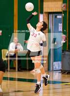 Photo from the gallery "Laguna Creek @ Kennedy"