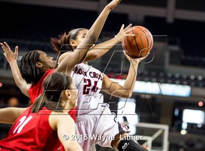 Thumbnail 3 in Holmes vs. Holy Cross (KHSAA 9th Region Final) photogallery.