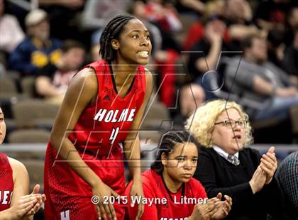 Thumbnail 1 in Holmes vs. Holy Cross (KHSAA 9th Region Final) photogallery.