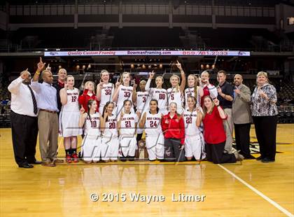 Thumbnail 1 in Holmes vs. Holy Cross (KHSAA 9th Region Final) photogallery.