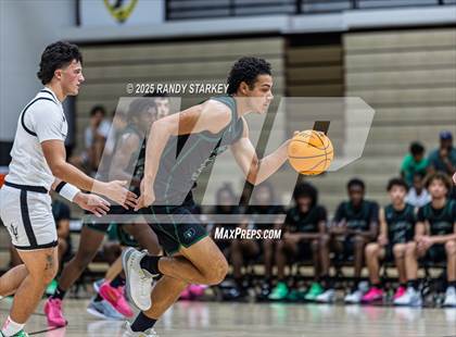 Thumbnail 1 in Palmetto Ridge @ Mariner photogallery.