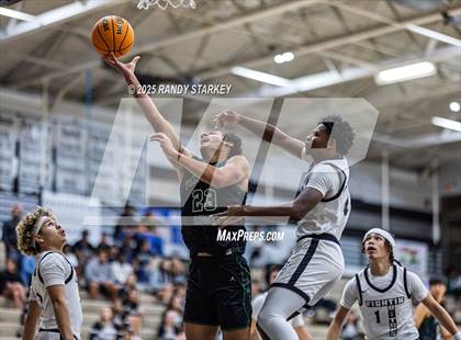 Thumbnail 1 in Palmetto Ridge @ Mariner photogallery.