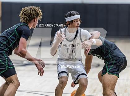 Thumbnail 1 in Palmetto Ridge @ Mariner photogallery.