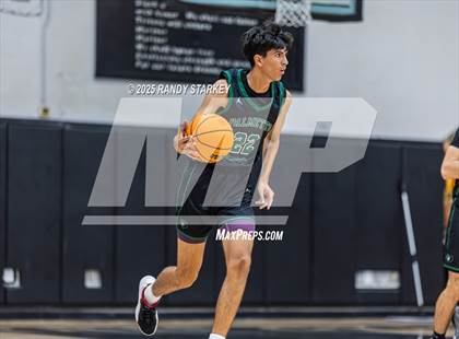 Thumbnail 3 in Palmetto Ridge @ Mariner photogallery.