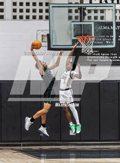 Thumbnail 3 in Palmetto Ridge @ Mariner photogallery.