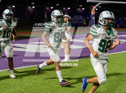 Thumbnail 1 in Rudder @ Willis photogallery.