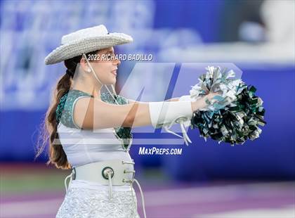 Thumbnail 2 in Rudder @ Willis photogallery.