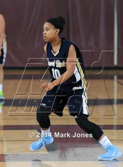 Thumbnail 1 in Desert Vista vs. Dillard (Nike Tournament of Champions) photogallery.
