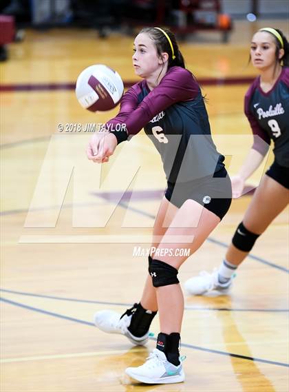 Thumbnail 2 in Chico @ Poolville photogallery.