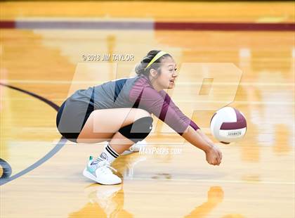 Thumbnail 3 in Chico @ Poolville photogallery.
