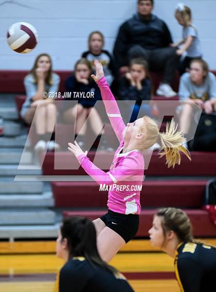Thumbnail 3 in Chico @ Poolville photogallery.