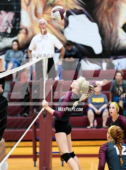 Thumbnail 3 in Chico @ Poolville photogallery.