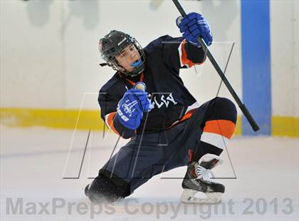 Thumbnail 1 in Clarkstown vs. Greeley (Tiger Tournament) photogallery.