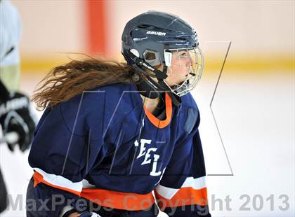 Thumbnail 3 in Clarkstown vs. Greeley (Tiger Tournament) photogallery.