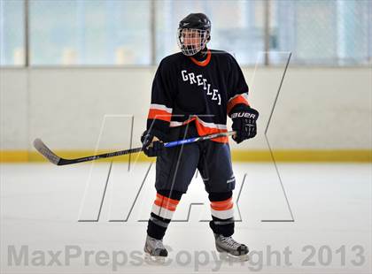 Thumbnail 3 in Clarkstown vs. Greeley (Tiger Tournament) photogallery.