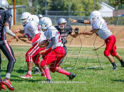 Thumbnail 1 in McClatchy @ Johnson photogallery.