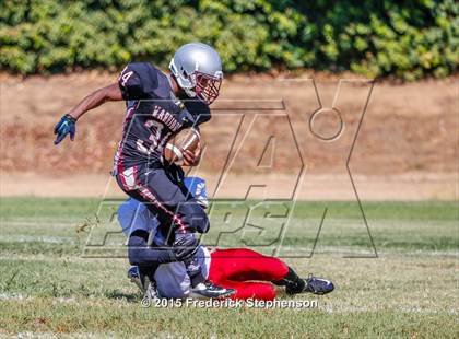 Thumbnail 1 in McClatchy @ Johnson photogallery.