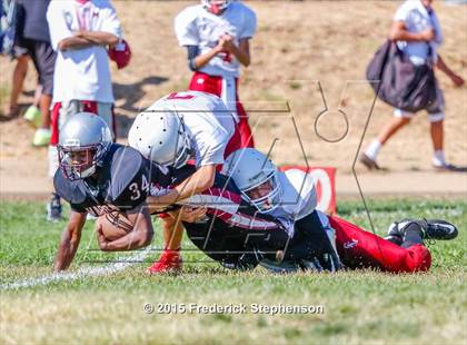 Thumbnail 3 in McClatchy @ Johnson photogallery.