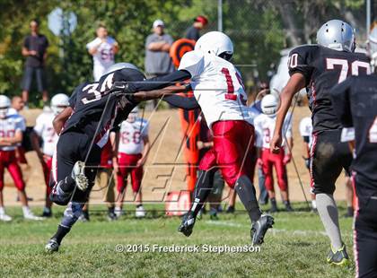 Thumbnail 1 in McClatchy @ Johnson photogallery.