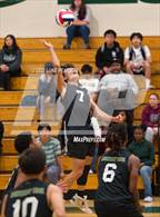 Photo from the gallery "Pleasant Grove @ Monterey Trail"