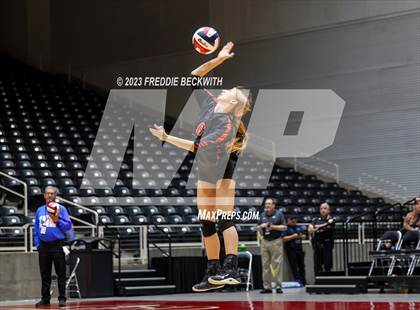 Thumbnail 1 in Iola vs. Schulenburg (UIL 2A Volleyball Semi-Final) photogallery.