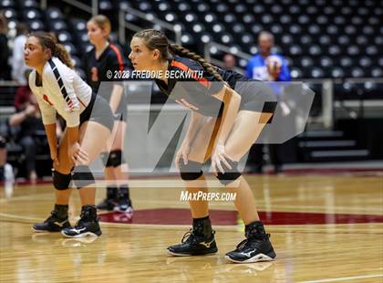 Thumbnail 2 in Iola vs. Schulenburg (UIL 2A Volleyball Semi-Final) photogallery.