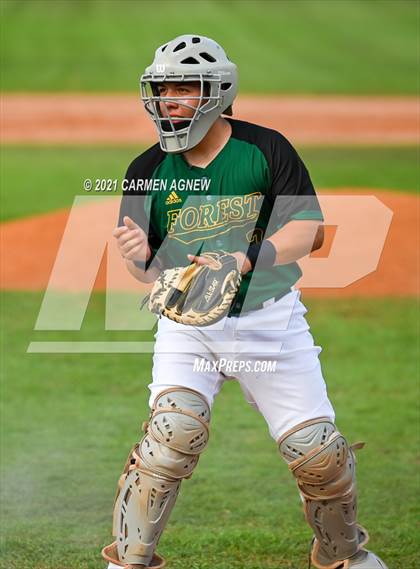 Thumbnail 3 in Klein Cain vs Klein Forest photogallery.