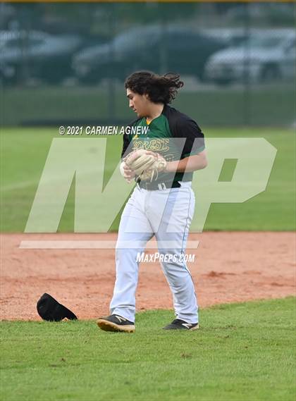 Thumbnail 3 in Klein Cain vs Klein Forest photogallery.