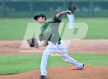 Thumbnail 3 in Klein Cain vs Klein Forest photogallery.