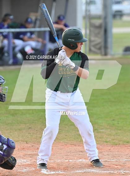 Thumbnail 2 in Klein Cain vs Klein Forest photogallery.