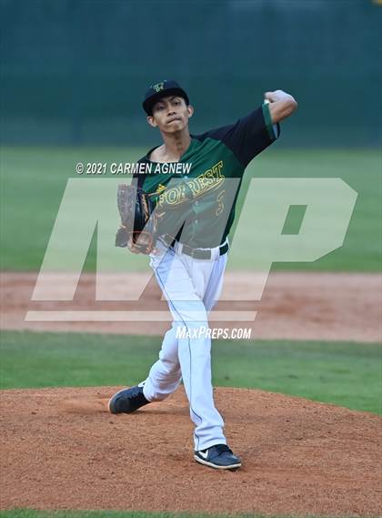 Thumbnail 2 in Klein Cain vs Klein Forest photogallery.