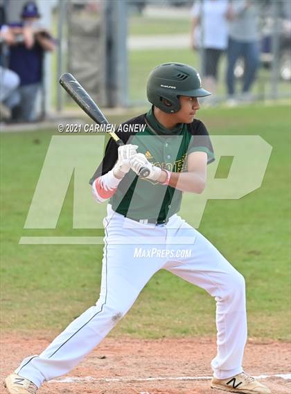Thumbnail 2 in Klein Cain vs Klein Forest photogallery.