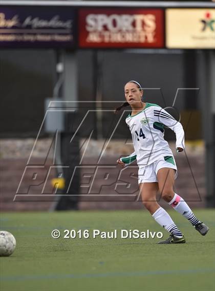 Thumbnail 3 in Rock Canyon @ ThunderRidge (CHSAA 5A 2nd Round) photogallery.