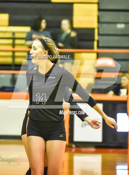 Thumbnail 2 in Horn @ Rockwall photogallery.