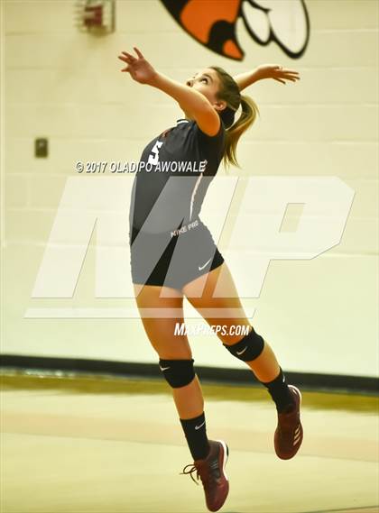 Thumbnail 1 in Horn @ Rockwall photogallery.