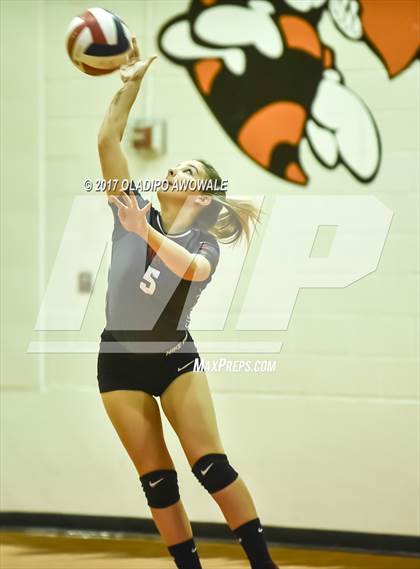 Thumbnail 2 in Horn @ Rockwall photogallery.