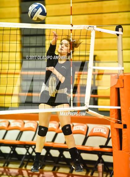 Thumbnail 2 in Horn @ Rockwall photogallery.