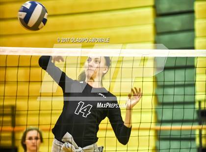 Thumbnail 3 in Horn @ Rockwall photogallery.