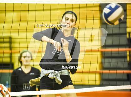 Thumbnail 1 in Horn @ Rockwall photogallery.