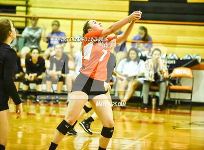 Thumbnail 2 in Horn @ Rockwall photogallery.