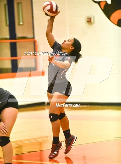 Thumbnail 2 in Horn @ Rockwall photogallery.